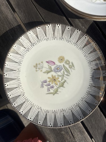 Winterling marktleuthen - winterling,